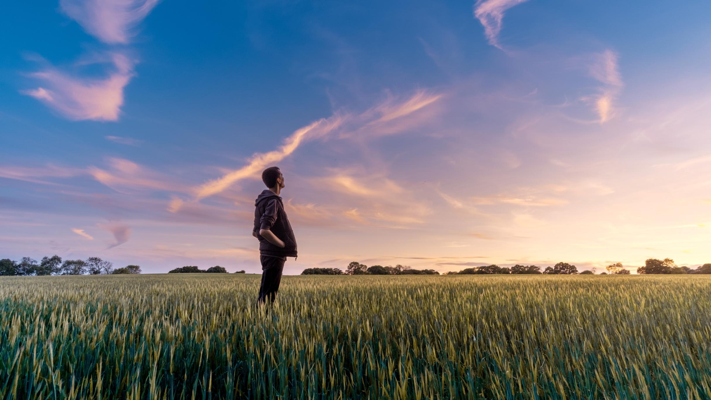 Ein Mann steht in einem Feld und schaut ins Weite. Der Himmel zeigt vereinzelt Wölkchen und ist zart violett gefärbt